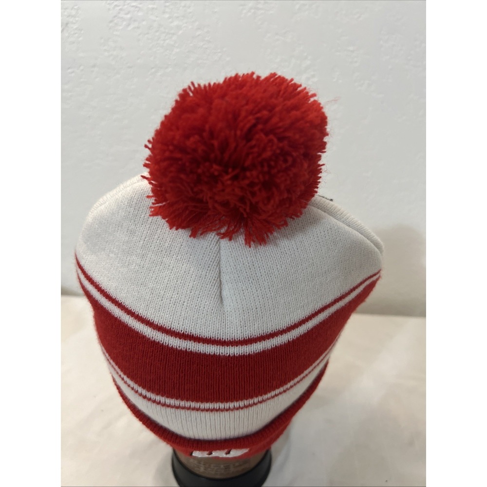 Rare Bucky Badger Wisconsin Badgers Winter Ski ADULT Beanie Hat ZooZatz ZH0314 - Picture 4 of 9